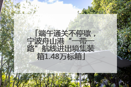 端午通关不停歇，宁波舟山港“一带一路”航线进出境集装箱1.48万标箱