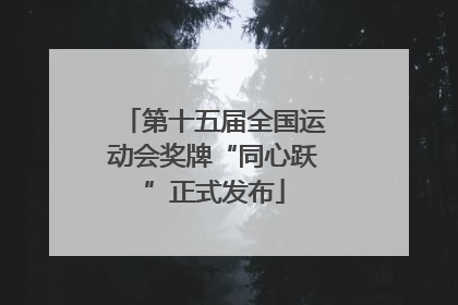 第十五届全国运动会奖牌“同心跃”正式发布