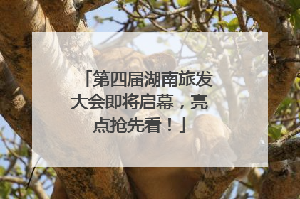 第四届湖南旅发大会即将启幕，亮点抢先看！