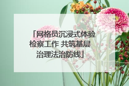 网格员沉浸式体验检察工作 共筑基层治理法治防线