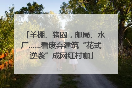 羊棚、猪圈，邮局、水厂……看废弃建筑“花式逆袭”成网红村咖