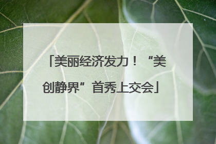 美丽经济发力！“美创静界”首秀上交会