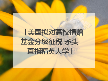 美国拟对高校捐赠基金分级征税 矛头直指精英大学
