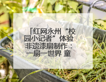 红网永州“校园小记者”体验非遗漆扇制作：一扇一世界 童心传匠心