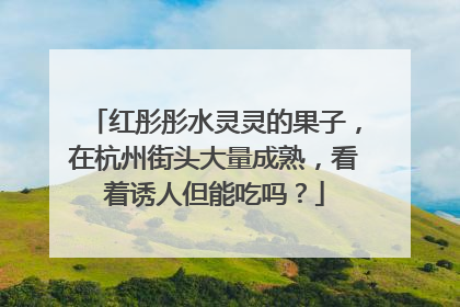 红彤彤水灵灵的果子，在杭州街头大量成熟，看着诱人但能吃吗？