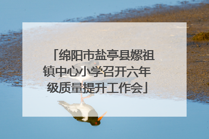 绵阳市盐亭县嫘祖镇中心小学召开六年级质量提升工作会