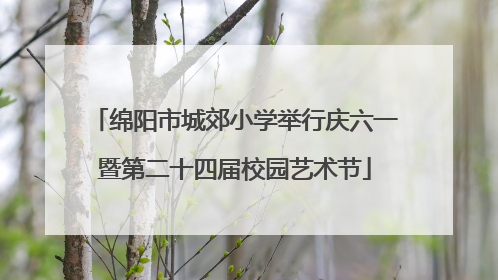 绵阳市城郊小学举行庆六一暨第二十四届校园艺术节