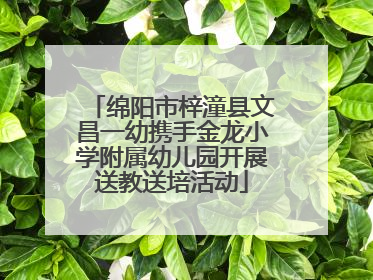 绵阳市梓潼县文昌一幼携手金龙小学附属幼儿园开展送教送培活动