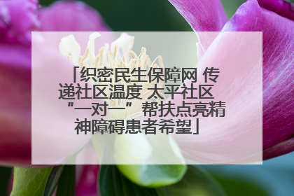 织密民生保障网 传递社区温度 太平社区“一对一”帮扶点亮精神障碍患者希望