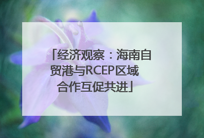 经济观察：海南自贸港与RCEP区域合作互促共进