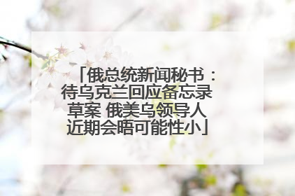 俄总统新闻秘书：待乌克兰回应备忘录草案 俄美乌领导人近期会晤可能性小