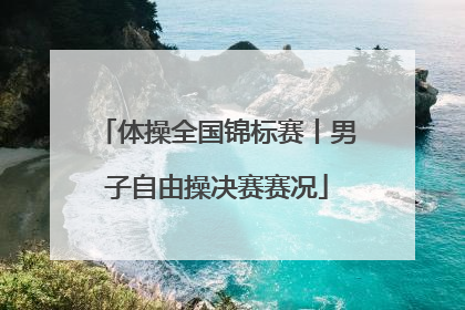 体操全国锦标赛丨男子自由操决赛赛况