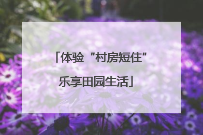 体验“村房短住” 乐享田园生活