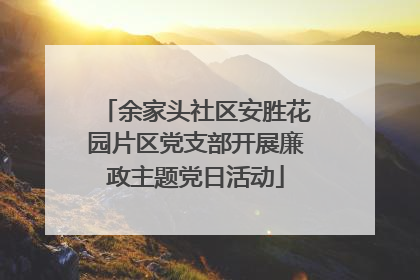余家头社区安胜花园片区党支部开展廉政主题党日活动
