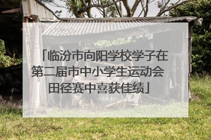 临汾市向阳学校学子在第二届市中小学生运动会田径赛中喜获佳绩