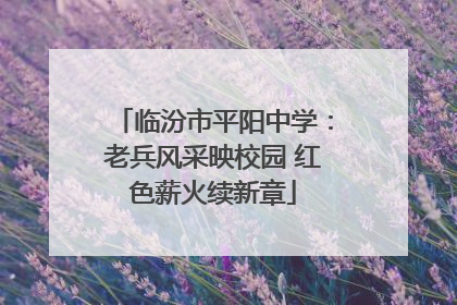 临汾市平阳中学：老兵风采映校园 红色薪火续新章