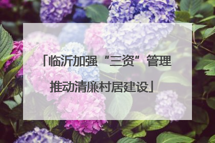 临沂加强“三资”管理 推动清廉村居建设