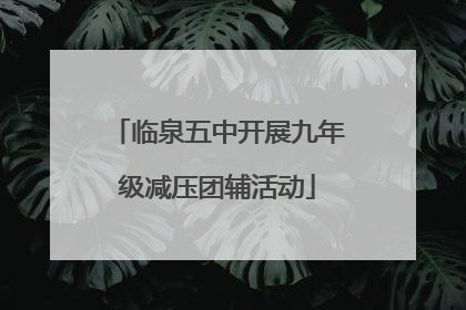 临泉五中开展九年级减压团辅活动