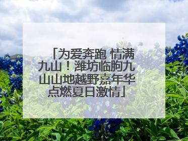 为爱奔跑 情满九山！潍坊临朐九山山地越野嘉年华点燃夏日激情