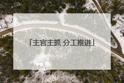 主官主抓 分工推进