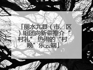 丽水九县（市、区）组团向新疆推介“村礼” 热闹的“村晚”乐云端