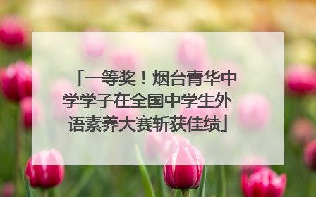 一等奖！烟台青华中学学子在全国中学生外语素养大赛斩获佳绩