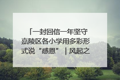 一封回信一年坚守 嘉陵区各小学用多彩形式说“感恩”｜风起之江 扶摇直上