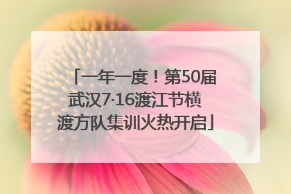 一年一度！第50届武汉7·16渡江节横渡方队集训火热开启