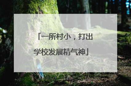 一所村小，打出学校发展精气神