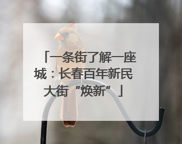 一条街了解一座城：长春百年新民大街“焕新”