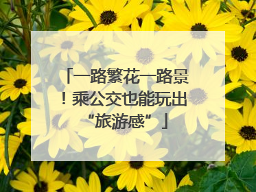 一路繁花一路景！乘公交也能玩出“旅游感”