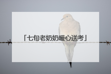 七旬老奶奶暖心送考