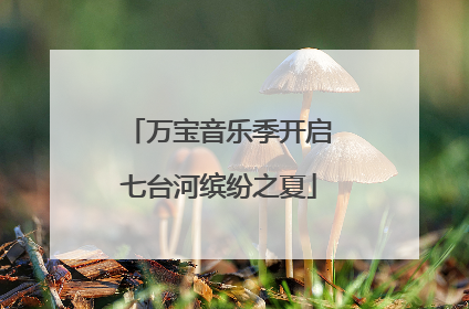 万宝音乐季开启七台河缤纷之夏