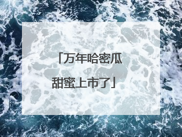 万年哈密瓜甜蜜上市了