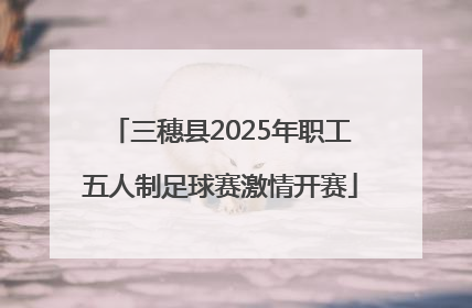 三穗县2025年职工五人制足球赛激情开赛