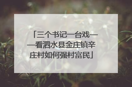 三个书记一台戏——看泗水县金庄镇辛庄村如何强村富民