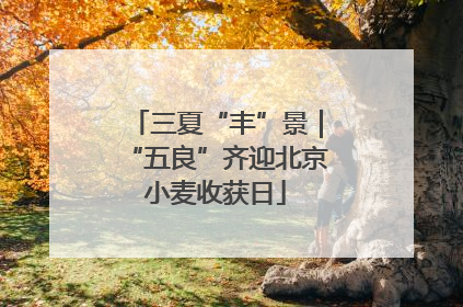 三夏“丰”景｜“五良”齐迎北京小麦收获日