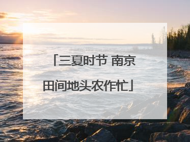 三夏时节 南京田间地头农作忙