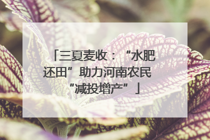 三夏麦收：“水肥还田”助力河南农民“减投增产”