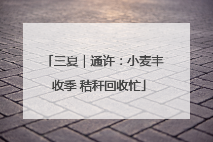 三夏｜通许：小麦丰收季 秸秆回收忙