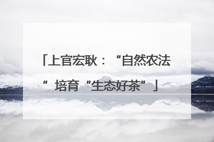 上官宏耿：“自然农法”培育“生态好茶”