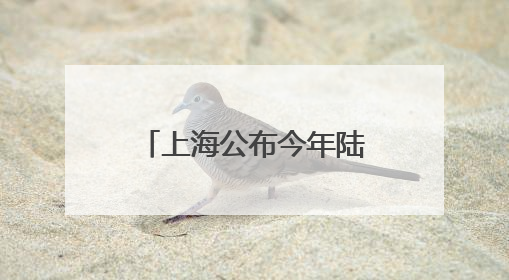 上海公布今年陆上风电、光伏电站开发建设项目19个，过半在崇明
