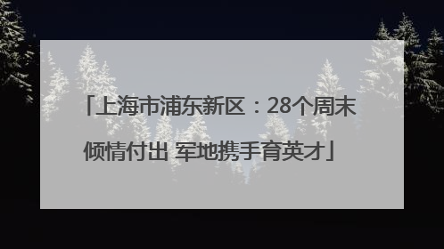 上海市浦东新区：28个周末倾情付出 军地携手育英才