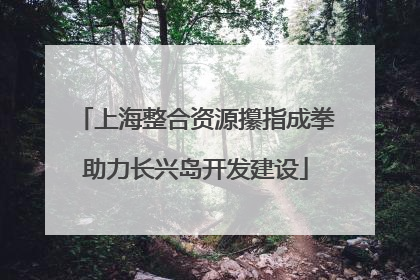上海整合资源攥指成拳助力长兴岛开发建设