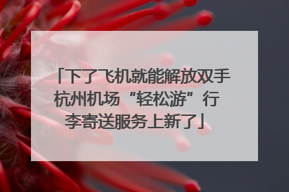 下了飞机就能解放双手 杭州机场“轻松游”行李寄送服务上新了