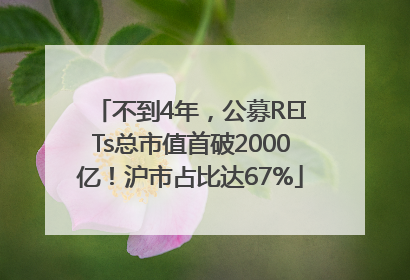 不到4年，公募REITs总市值首破2000亿！沪市占比达67%
