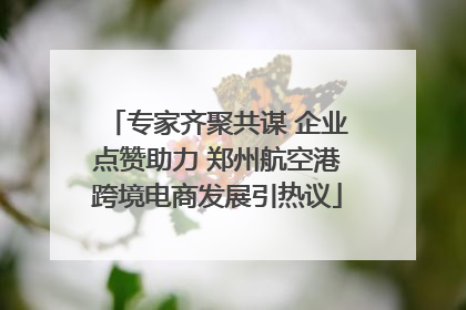 专家齐聚共谋 企业点赞助力 郑州航空港跨境电商发展引热议