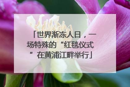 世界渐冻人日，一场特殊的“红毯仪式”在黄浦江畔举行
