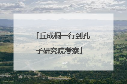 丘成桐一行到孔子研究院考察