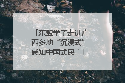 东盟学子走进广西多地“沉浸式”感知中国式民主